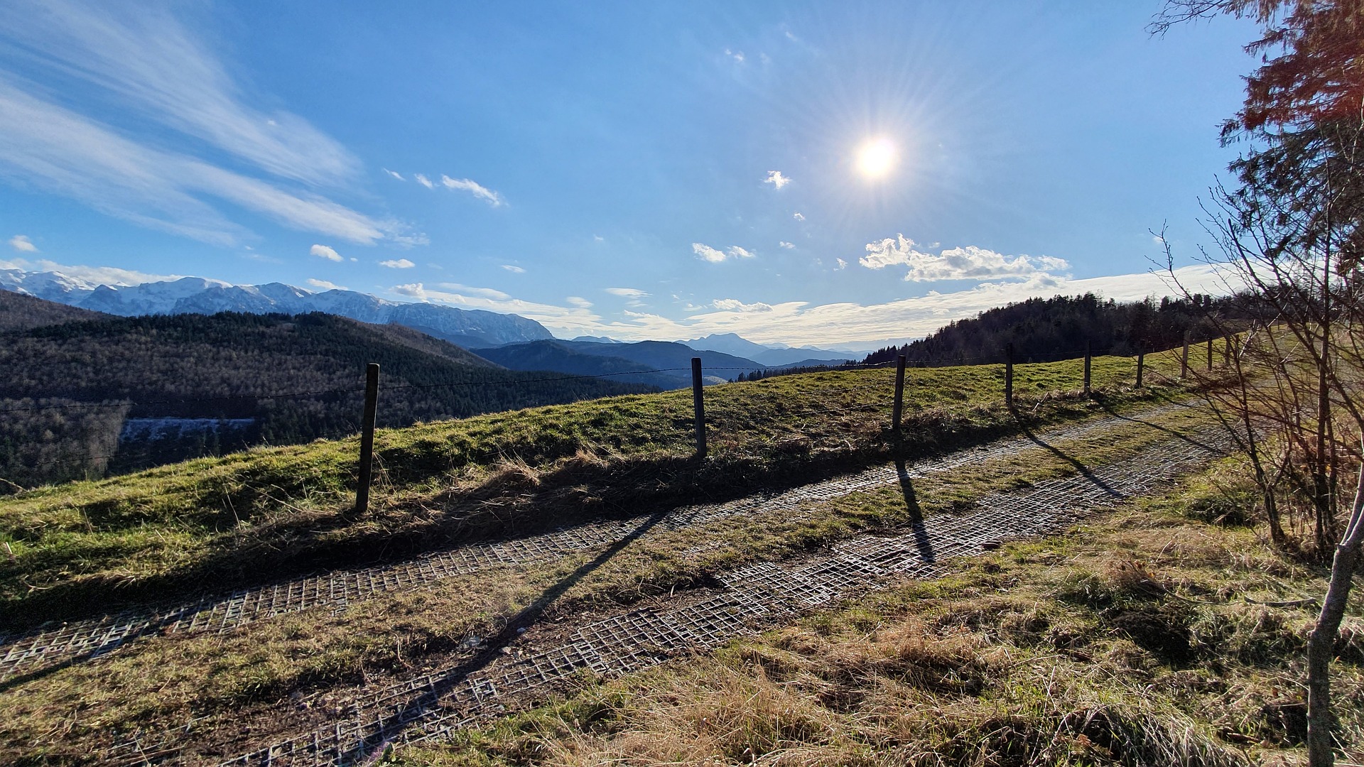Rotweinwanderweg Ahrtal – Wandern mit Weitblick ab der Ferienwohnung Oberwinter Rotweinwanderweg im Ahrtal – Panoramawanderung für Gäste der Ferienwohnung Oberwinter, Weinberge, Natur und Genuss zwischen Dernau, Ahrweiler und Altenahr