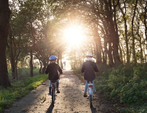 Familiefietstocht op de Rijn