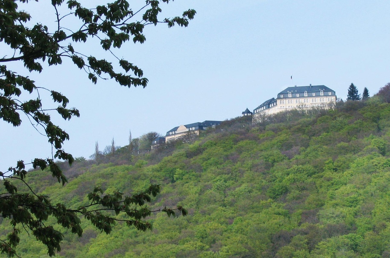 Weinprobe Petersberg
