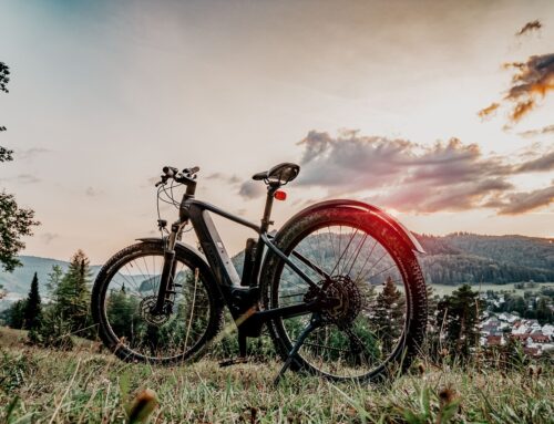 E-biketocht Oberwinter