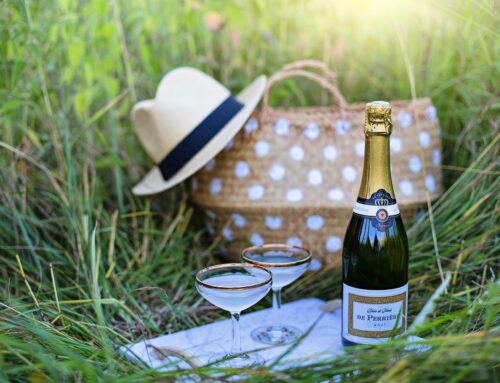 Picknick Ahrtal wijngaarden
